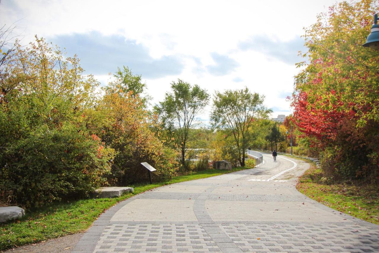 Condo In Parklawn & Lake Shore With Free Parking Close To Airport トロント エクステリア 写真